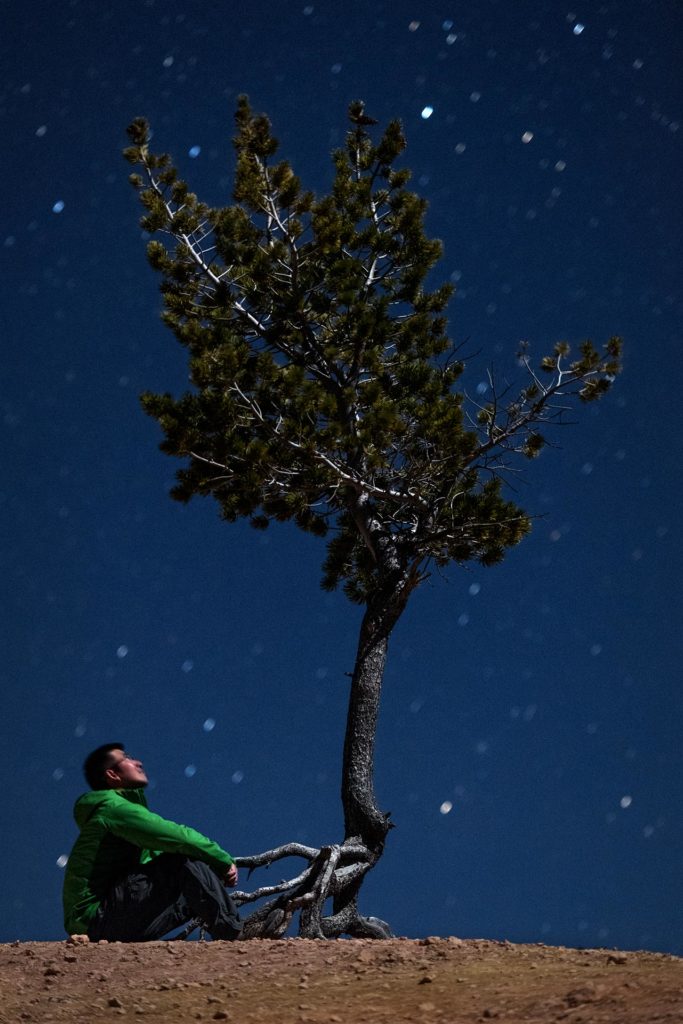 Dreams Summer nights are made for dreaming.